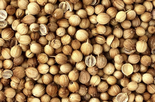 Coriander Seeds