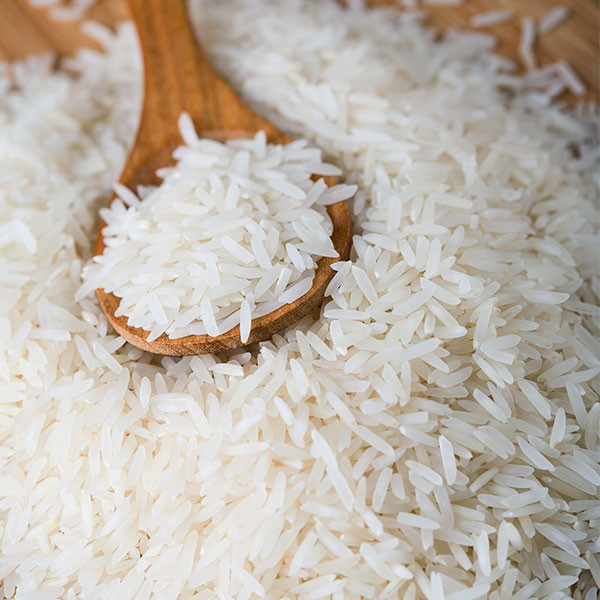 rice-exporter